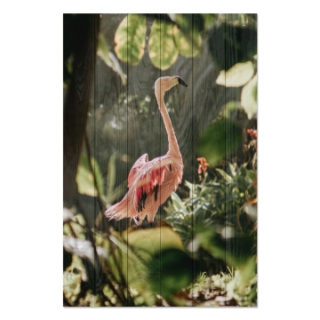 Bild auf Holz Tropical Flamingo