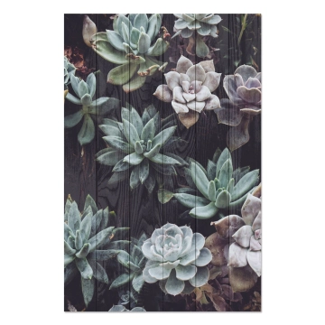 Bild auf Holz Succulents