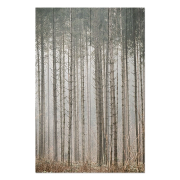 Bild auf Holz Mysterious Forest