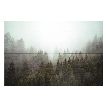 Bild auf Holz Misty Coniferous Forest