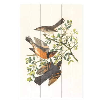 Bild auf Holz Three Birds on a Branch