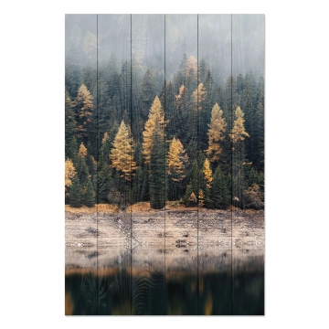 Bild auf Holz Foggy Forest