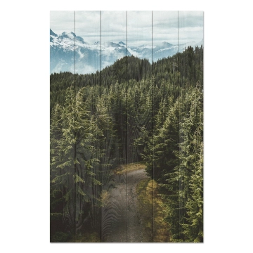 Bild auf Holz Forest Track