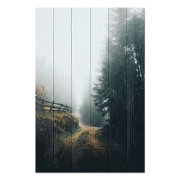 Bild auf Holz Foggy Landscape