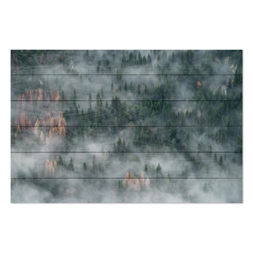 Bild auf Holz Forest After Rain