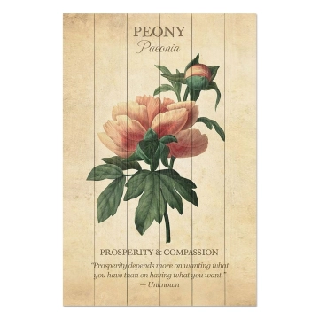 Bild auf Holz Peony Flower