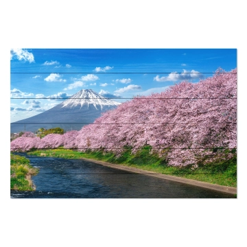 Bild auf Holz Fuji Mountain in Spring
