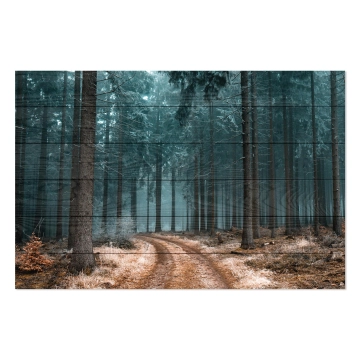 Bild auf Holz Path in the Forest